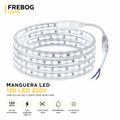 Manguera LED 120 LED 220V – Luz Blanca 6500K | Venta por Metro